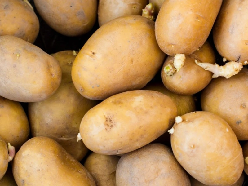 Are Potatoes Healthy For Your Heart Or Not Page 15 Gama Fm
